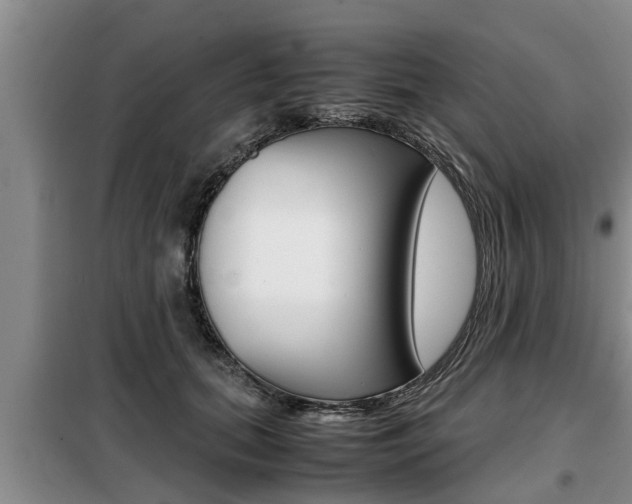 X0000099410655200805090728