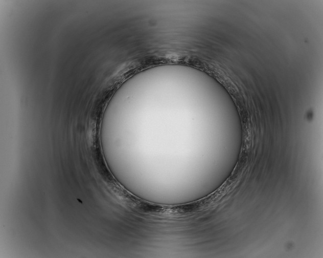 X0000099410656200805090728