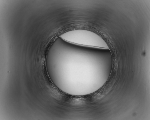 X0000099410657200805090728