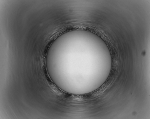 X0000099410658200805090728