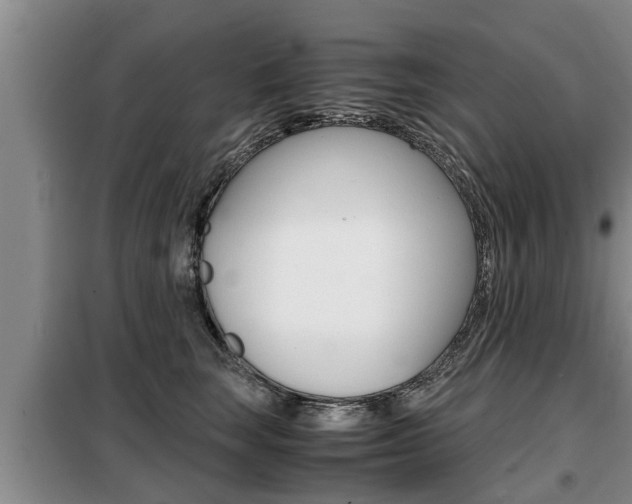 X0000099410663200805090728