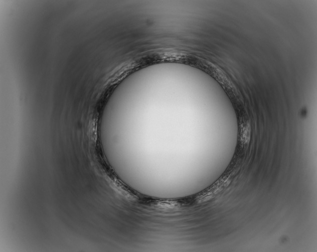 X0000099410666200805090729