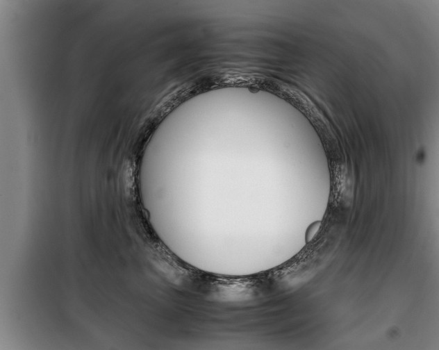 X0000099410667200805090729