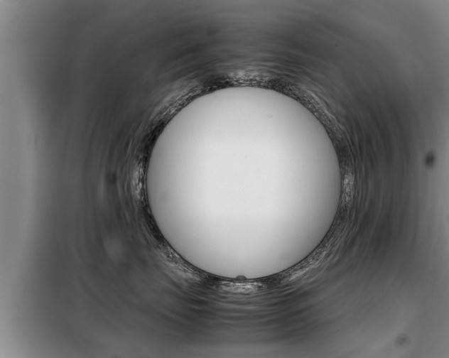 X0000099410671200805090729