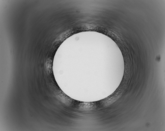 X0000099410672200805090729
