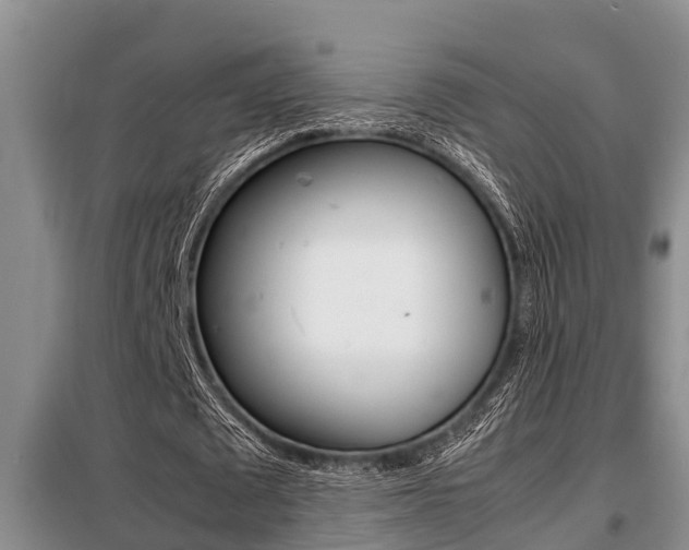 X0000099410673200805090728