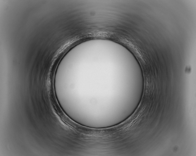 X0000099410674200805090728
