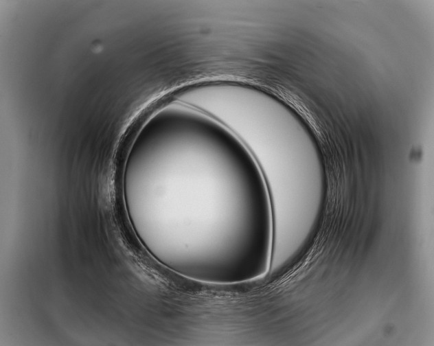 X0000099410676200805090728