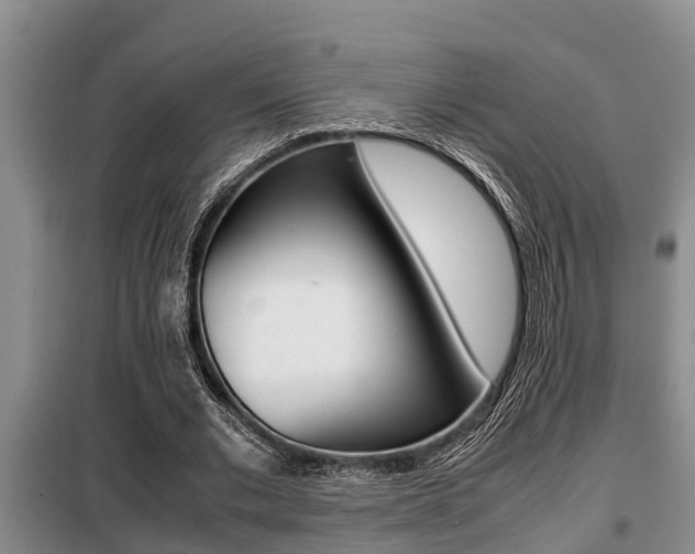 X0000099410677200805090728