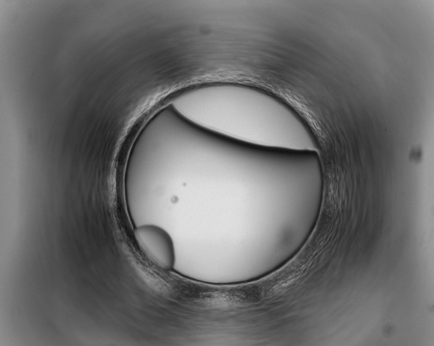 X0000099410678200805090728