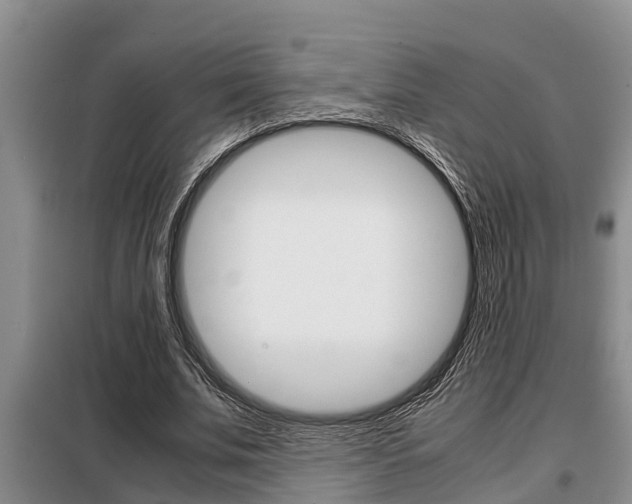 X0000099410679200805090728