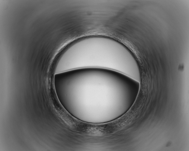 X0000099410680200805090728