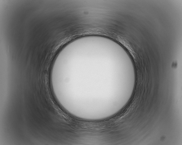 X0000099410681200805090728