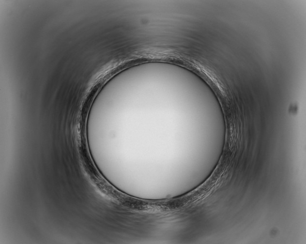 X0000099410682200805090728