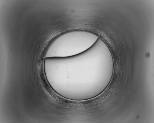 X0000099410683200805090728