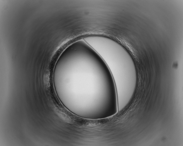 X0000099410684200805090728