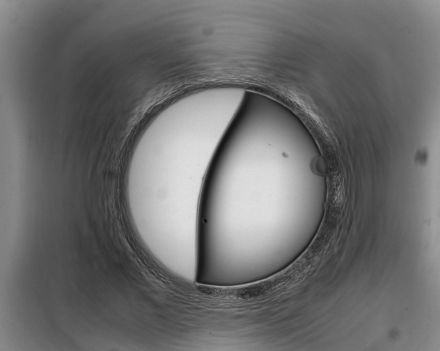 X0000099410685200805090728
