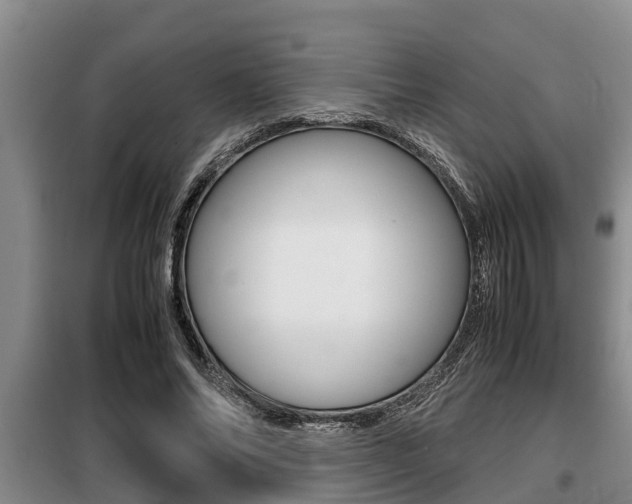 X0000099410686200805090728