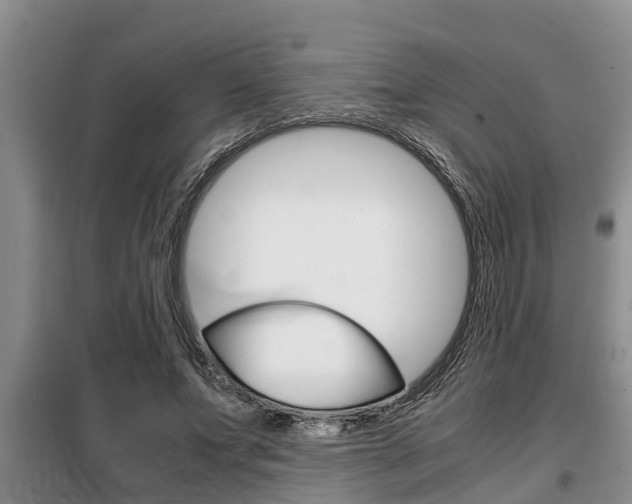 X0000099410687200805090728