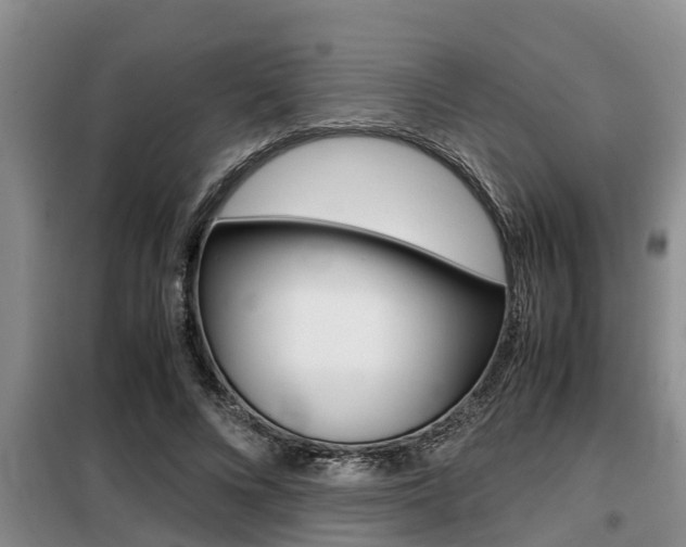X0000099410688200805090728