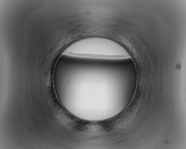 X0000099410689200805090728