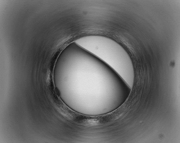 X0000099410692200805090728