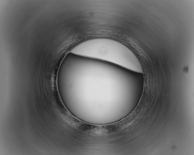X0000099410696200805090727