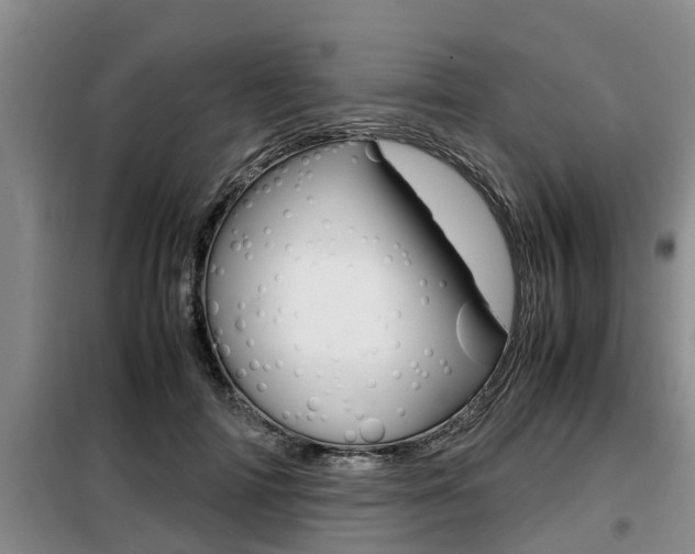 X0000099410698200805090727