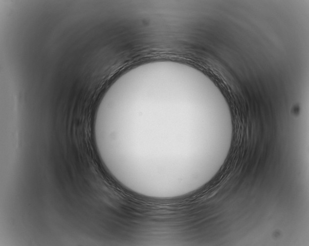 X0000099410700200805090727