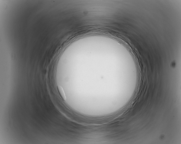 X0000099410701200805090727