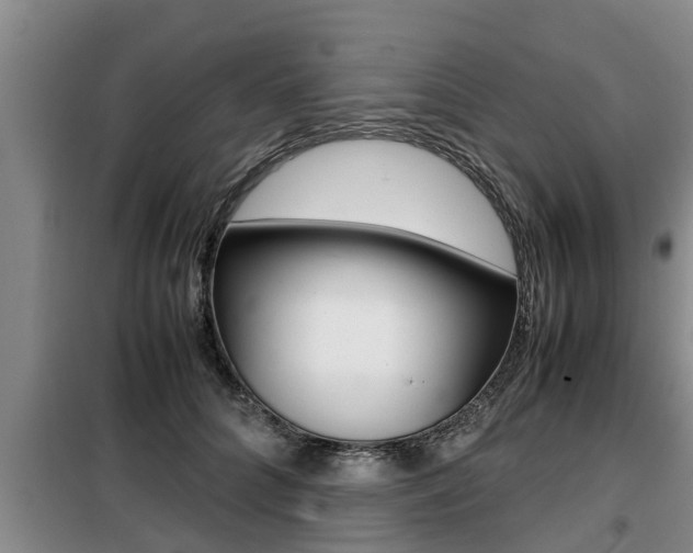 X0000099410704200805090727