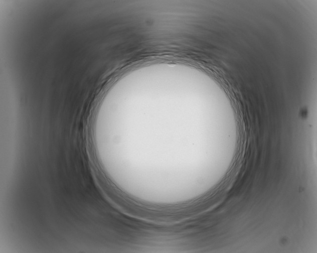 X0000099410705200805090727