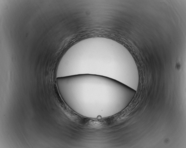 X0000099410706200805090727