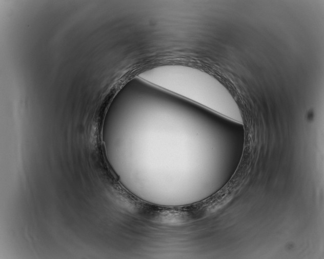 X0000099410708200805090727