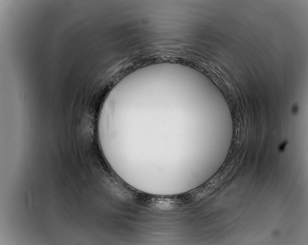 X0000099410710200805090727