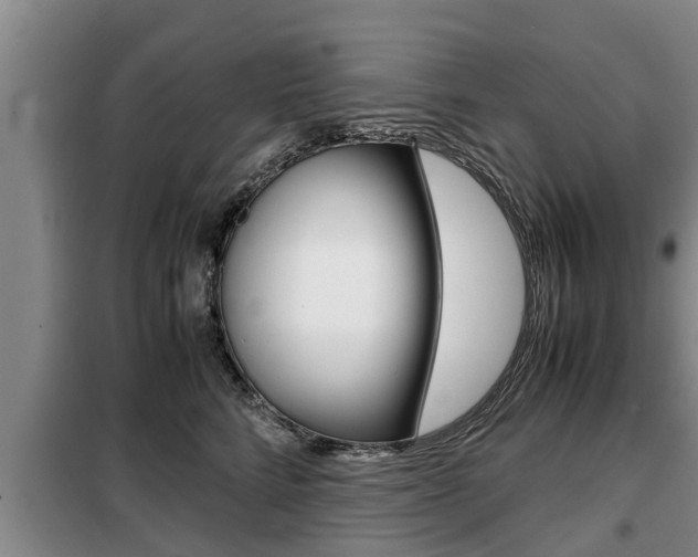 X0000099410712200805090727