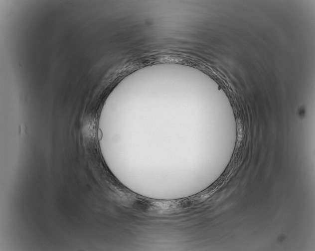 X0000099410713200805090727