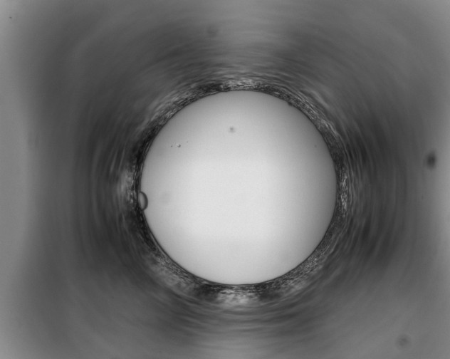X0000099410714200805090727