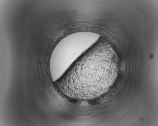 X0000099410715200805090727