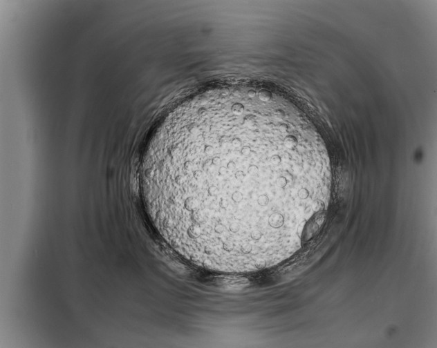 X0000099410719200805090727