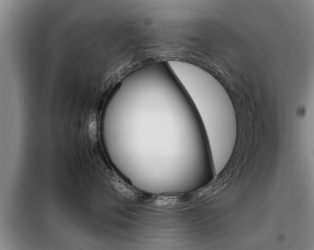 X0000099410720200805090727