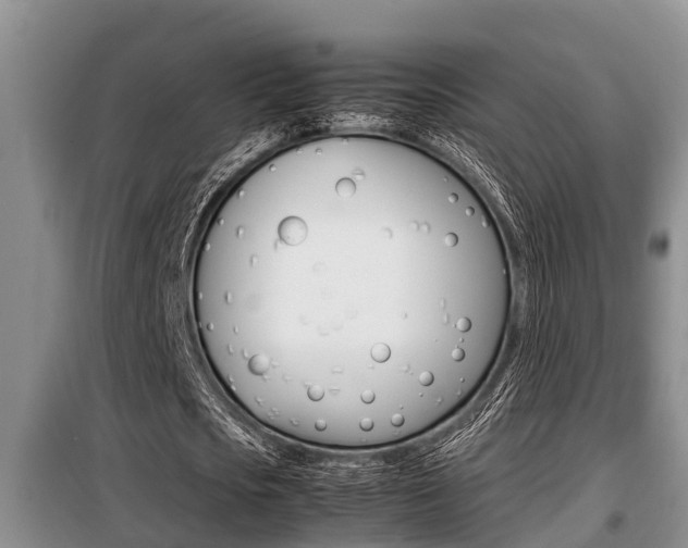 X0000099410721200805090726