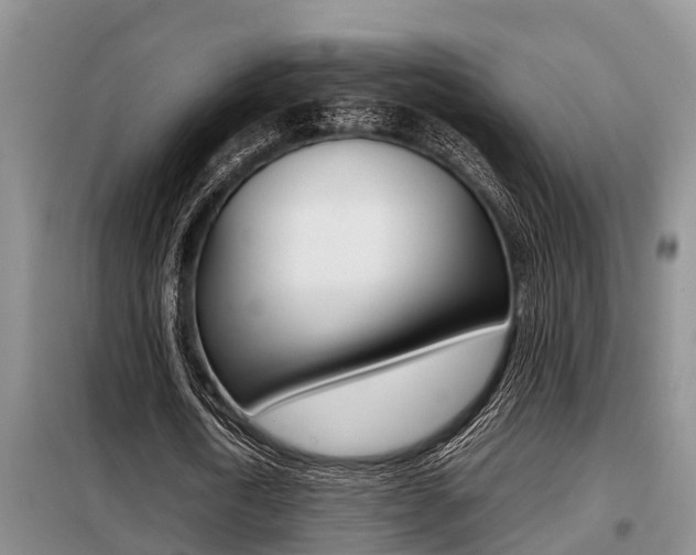 X0000099410722200805090726