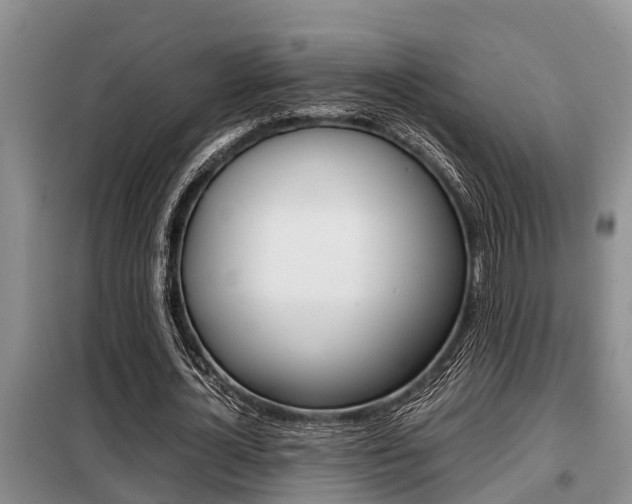 X0000099410724200805090727