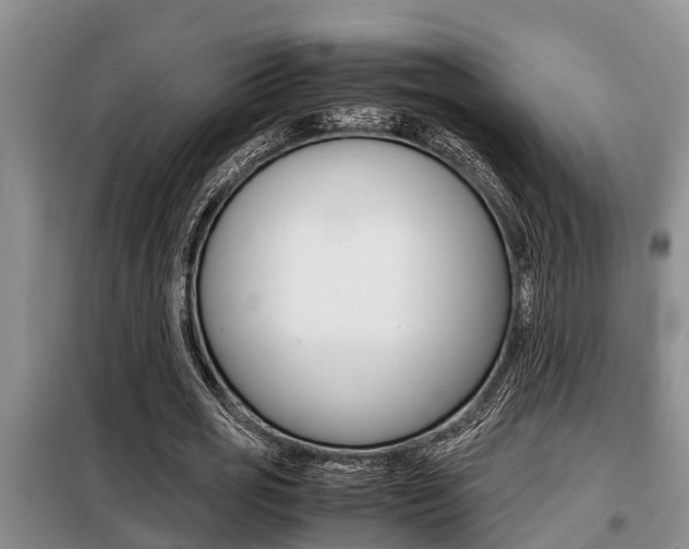 X0000099410725200805090727