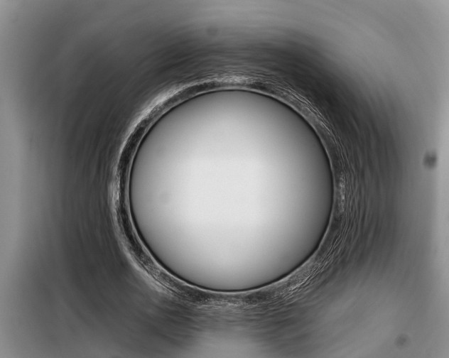 X0000099410726200805090727
