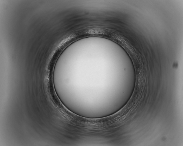 X0000099410727200805090727