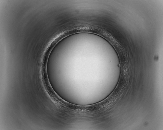 X0000099410728200805090727
