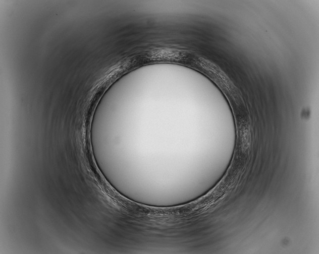 X0000099410729200805090727