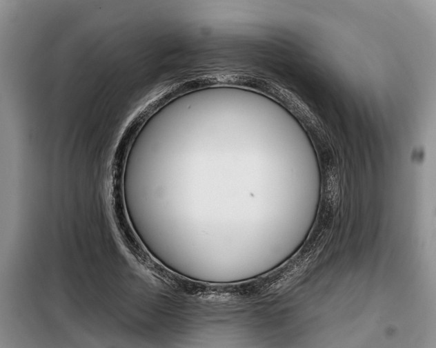 X0000099410730200805090727